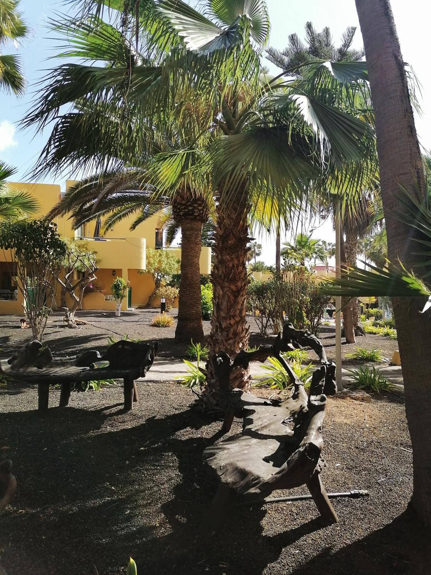 Casa Magdalena Daire Corralejo Dış mekan fotoğraf